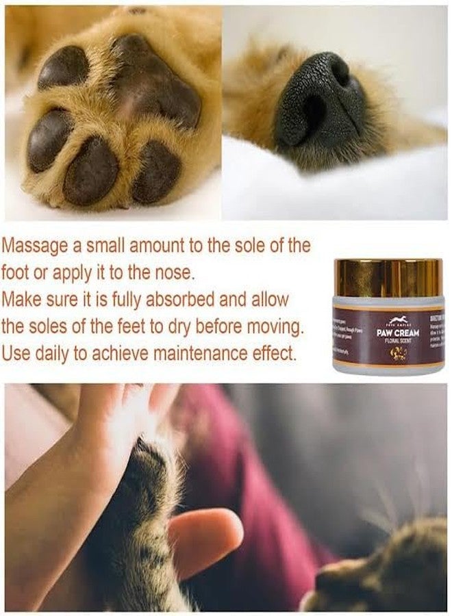 Pets Empire Soft Paw Butter Cream with Almond Oil - 50g (Pack of 2) | Natural, Heals Dry, Cracked Paws for All Pets - Image 5